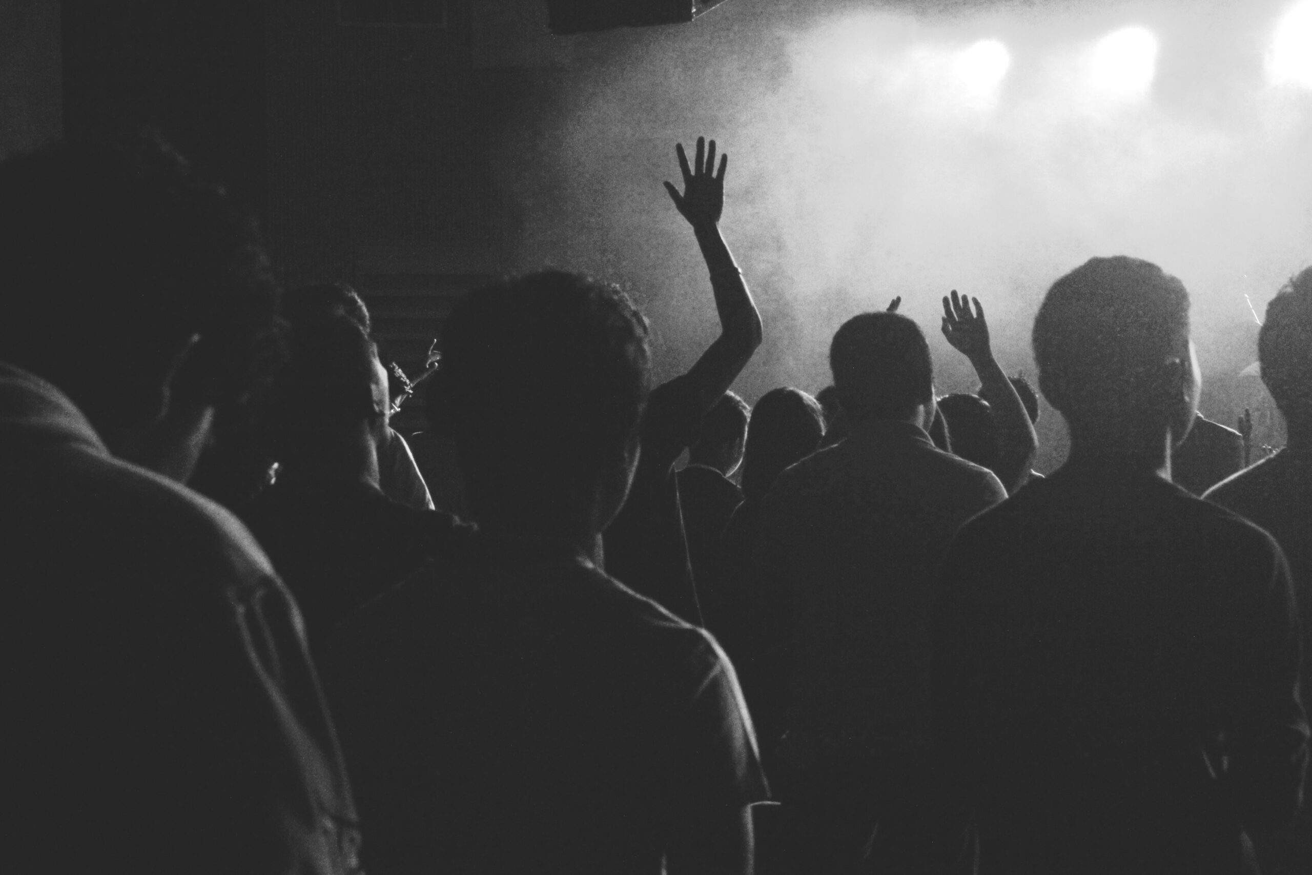 Pubblico durante un concerto